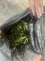 Полимерный пакет с каннабисом обнаружили у 29-летнего жителя Сальска