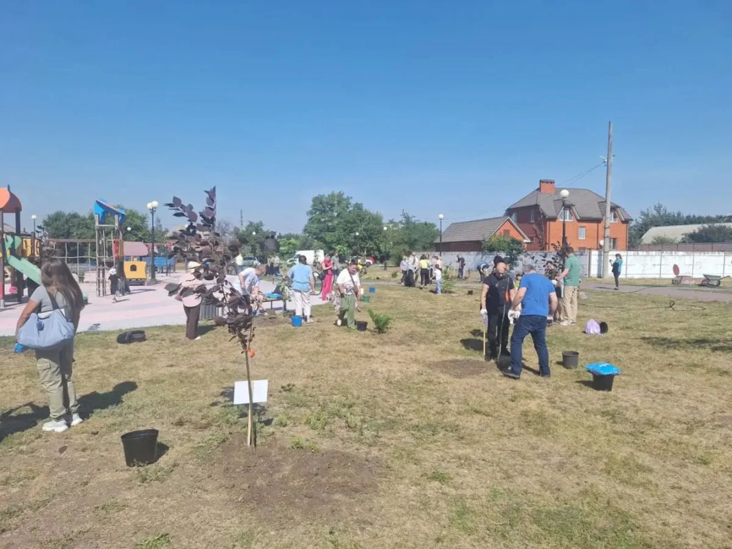 В Парке дружбы народов появилась новая аллея В Парке дружбы народов появилась новая аллея