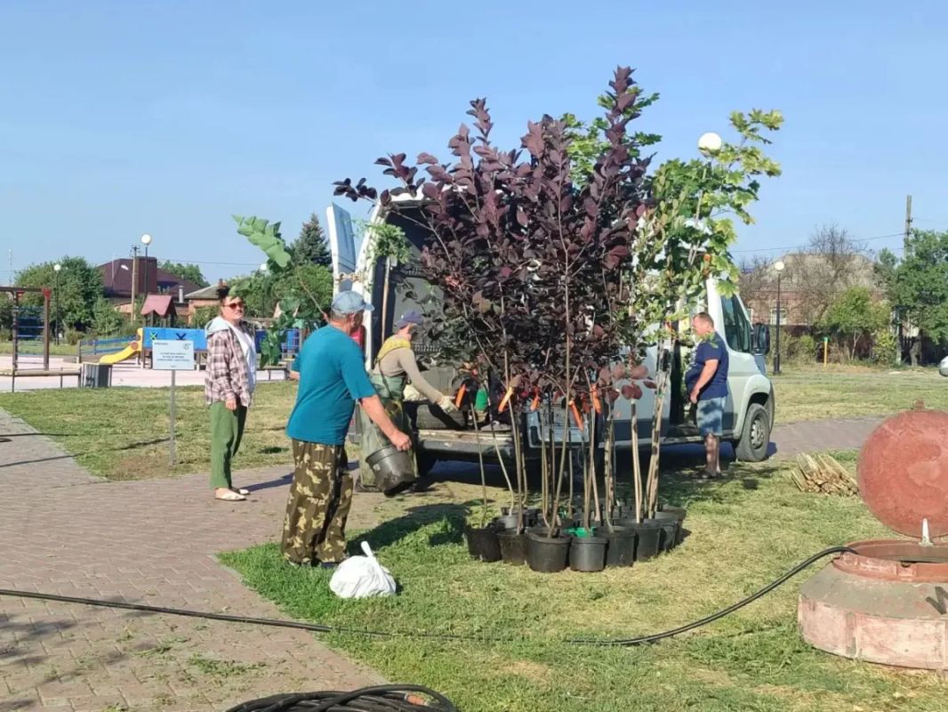 В Парке дружбы народов появилась новая аллея В Парке дружбы народов появилась новая аллея
