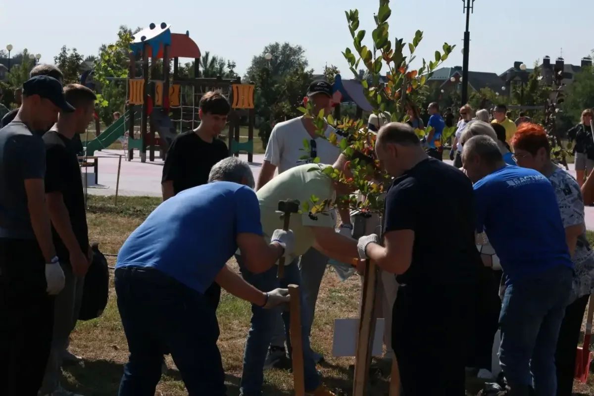 В Парке дружбы народов появилась новая аллея В Парке дружбы народов появилась новая аллея