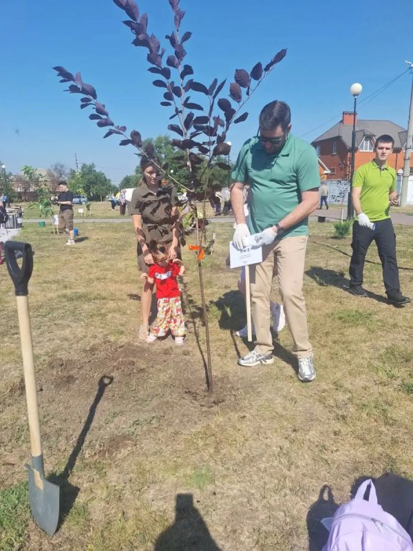 В Парке дружбы народов появилась новая аллея В Парке дружбы народов появилась новая аллея