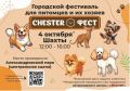 4 октября в Александровском парке города Шахты пройдет фестиваль CHESTER ФЕСТ