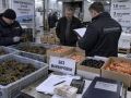 1,6 тонны раков на 3 млн рублей обернулись для предпринимателя условкой