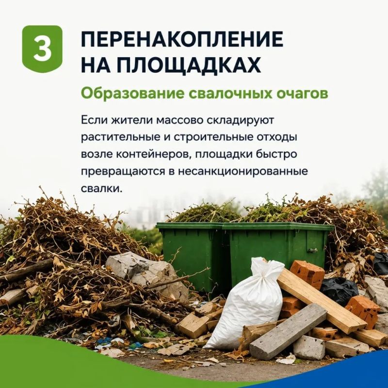 Осень на Дону: почему регоператор не вывозит листву и ветки Осень на Дону: почему регоператор не вывозит листву и ветки