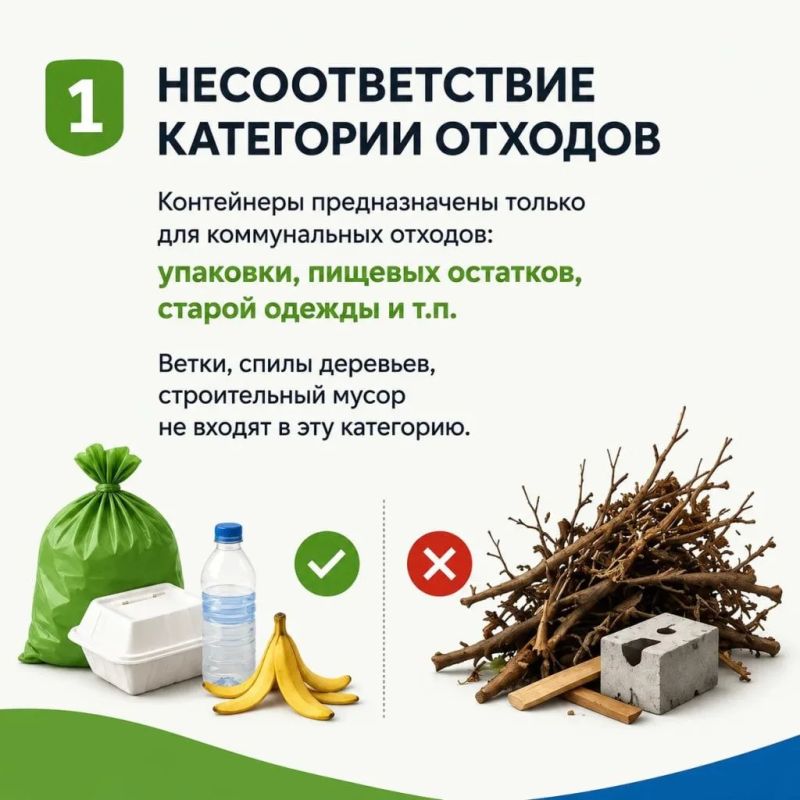 Осень на Дону: почему регоператор не вывозит листву и ветки Осень на Дону: почему регоператор не вывозит листву и ветки