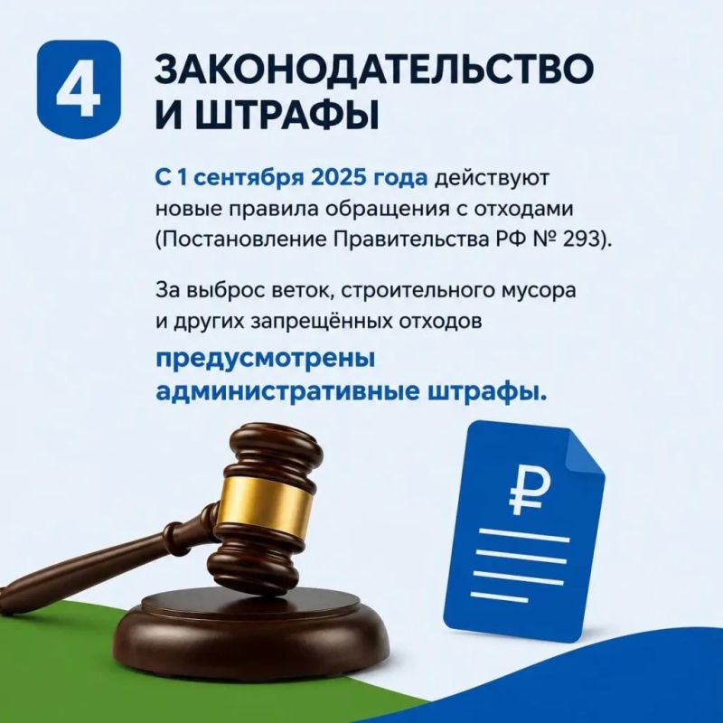 Осень на Дону: почему регоператор не вывозит листву и ветки Осень на Дону: почему регоператор не вывозит листву и ветки