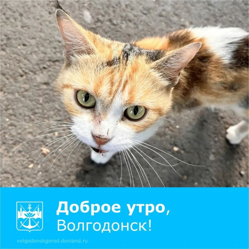 С приходом осени растет риск подхватить респираторные вирусы С приходом осени растет риск подхватить респираторные вирусы