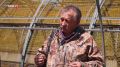 Фазан вернулся в донские степи благодаря питомникам