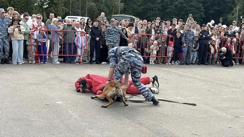 В Егорьевске прошла акция «Один день с полицией Подмосковья» В Егорьевске прошла акция «Один день с полицией Подмосковья»