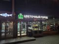 Новые находки для любителей растений: увлекательные открытия в цветочном магазине