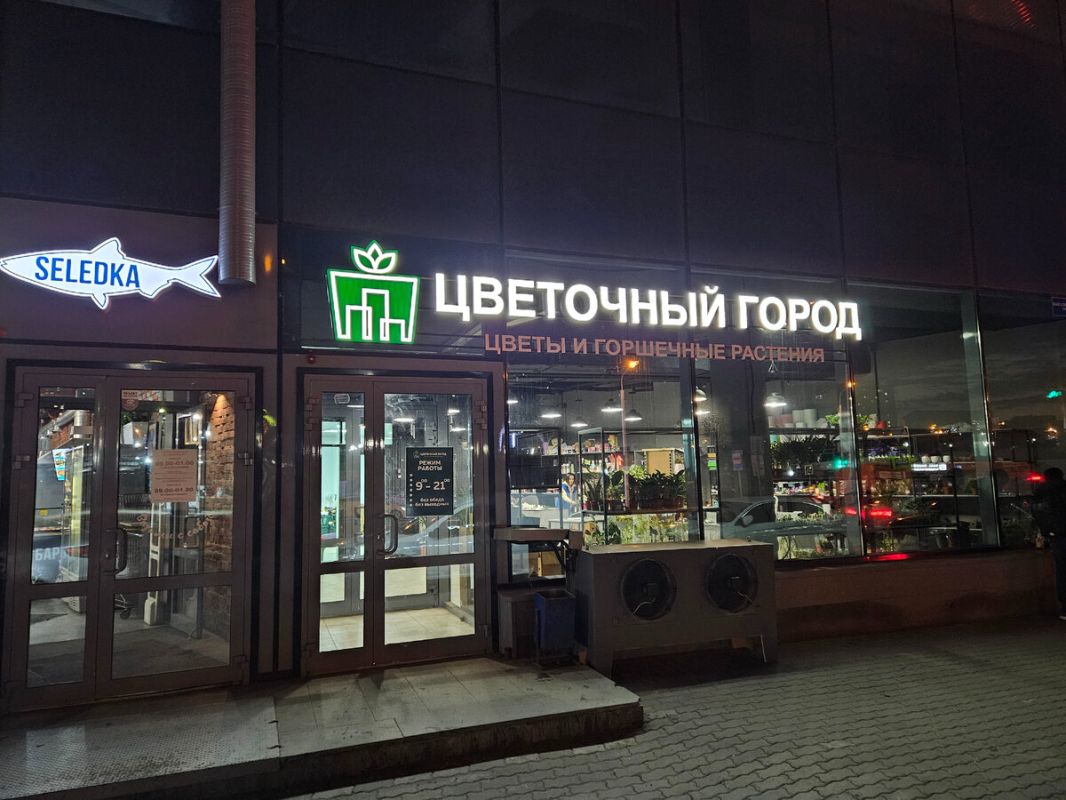 Новые находки для любителей растений: увлекательные открытия в цветочном магазине