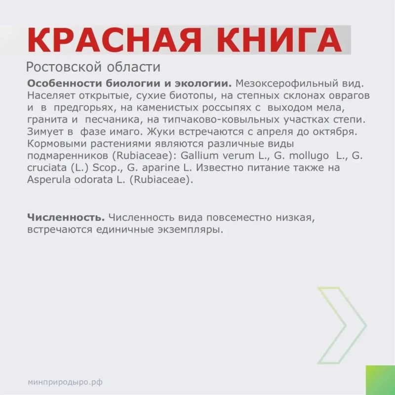 Рубрика «Красная книга Ростовской области»! Рубрика «Красная книга Ростовской области»!