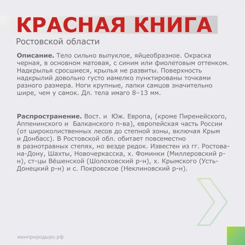 Рубрика «Красная книга Ростовской области»! Рубрика «Красная книга Ростовской области»!