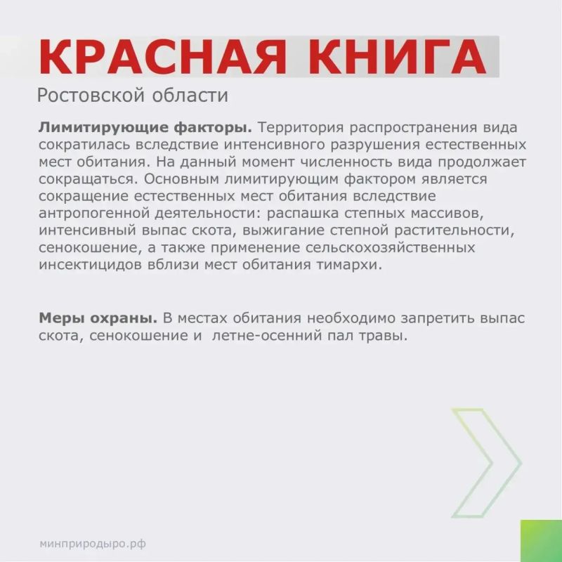 Рубрика «Красная книга Ростовской области»! Рубрика «Красная книга Ростовской области»!