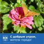 Доброе утро понедельника, Волгодонск!