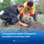 День древонасаждений: вместе делаем город Шахты зеленее