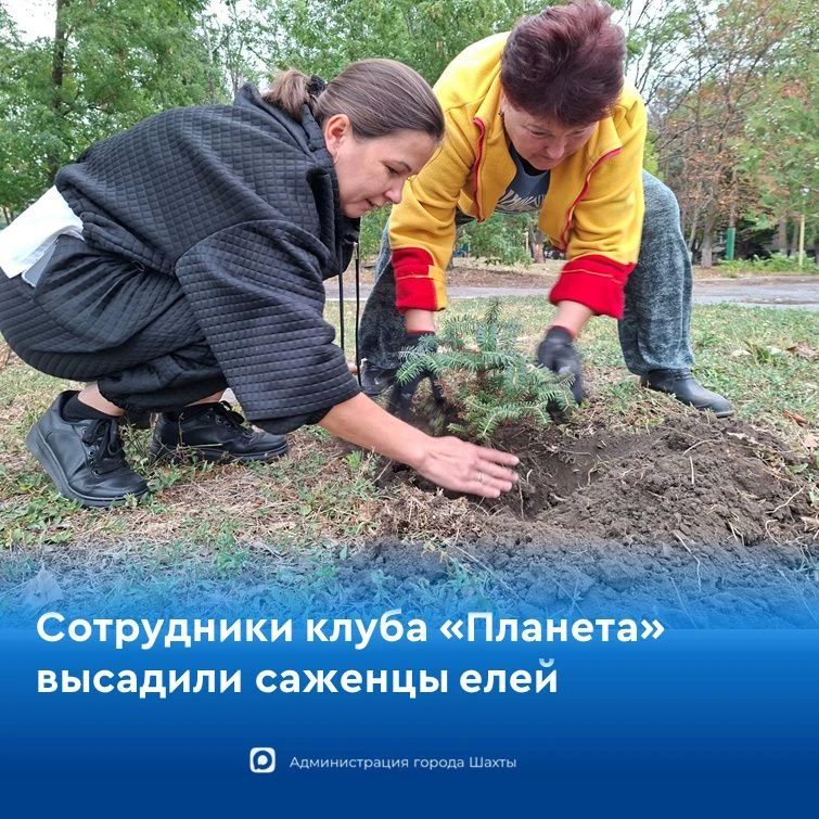 День древонасаждений: вместе делаем город Шахты зеленее