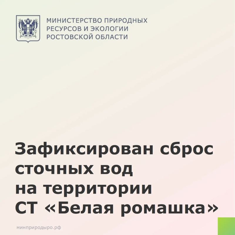 Зафиксирован сброс сточных вод на территории СТ «Белая ромашка»