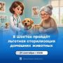 В Шахтах 24 сентября пройдёт льготная стерилизация домашних животных
