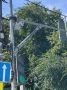 Уважаемые таганрожцы!. В городе системно ведётся работа по повышению безопасности дорожного движения и защите пешеходов