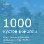 В рамках проведения межведомственной комплексной оперативно-профилактической операции «Мак-2026» сотрудники МВД России «Новочеркасское» совместно с казачьей общиной провели рейды по выявлению и уничтожению очагов...