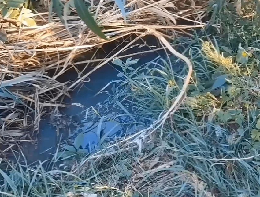Расчистку Темерника в Ростове снова отложили из-за судов с подрядчиком