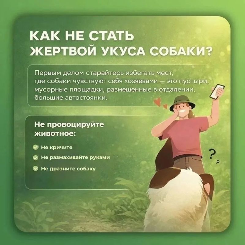 Как сообщить о безнадзорном животном и почему это важно Как сообщить о безнадзорном животном и почему это важно