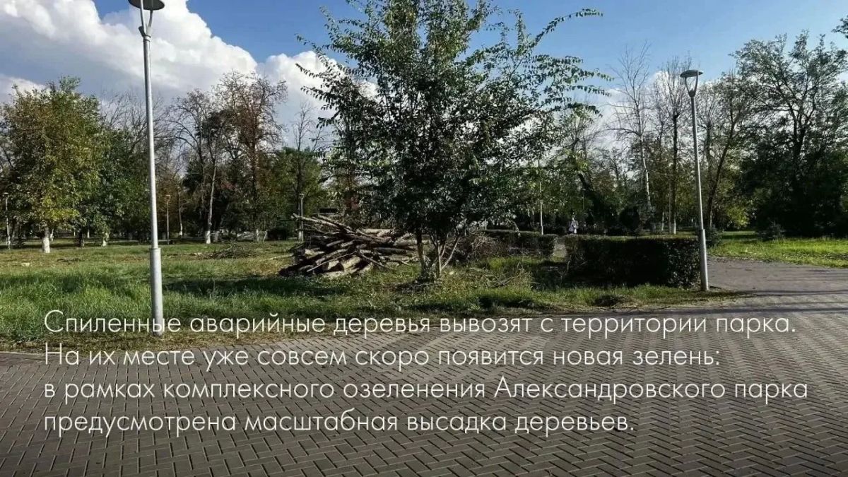 В Шахтах ведется расчистка Александровского парка от сухостоя перед новым этапом озеленения В Шахтах ведется расчистка Александровского парка от сухостоя перед новым этапом озеленения