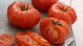 Продукты, которые могут помочь в борьбе с раком: мнения ученых