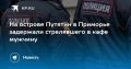 На острове Путятин в Приморье задержали стрелявшего в кафе мужчину
