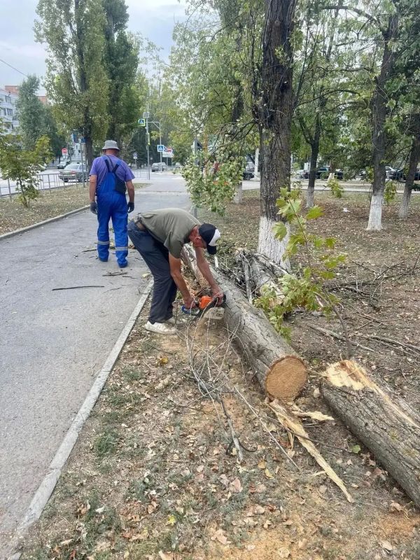 В Волгодонске продолжается ликвидация последствий вчерашней стихии В Волгодонске продолжается ликвидация последствий вчерашней стихии