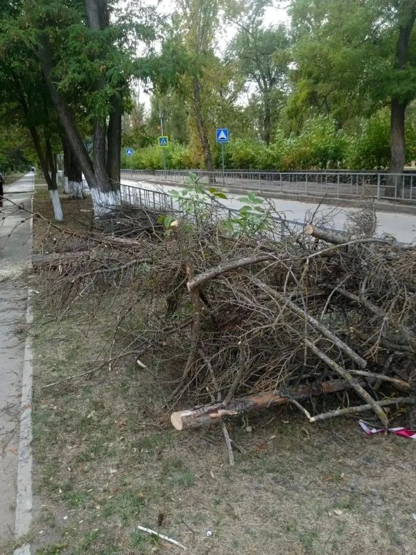В Волгодонске продолжается ликвидация последствий вчерашней стихии В Волгодонске продолжается ликвидация последствий вчерашней стихии