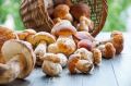 Три креативных подхода к заготовке грибов на зиму: сохраняем вкус леса