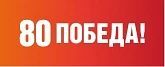 60 новых деревьев обещают высадить на ул. Тимошенко в Ростове. После сюжета "Вести