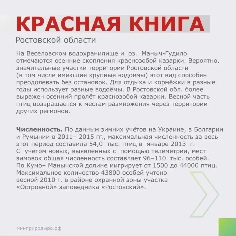 Рубрика «Красная книга Ростовской области»! Рубрика «Красная книга Ростовской области»!