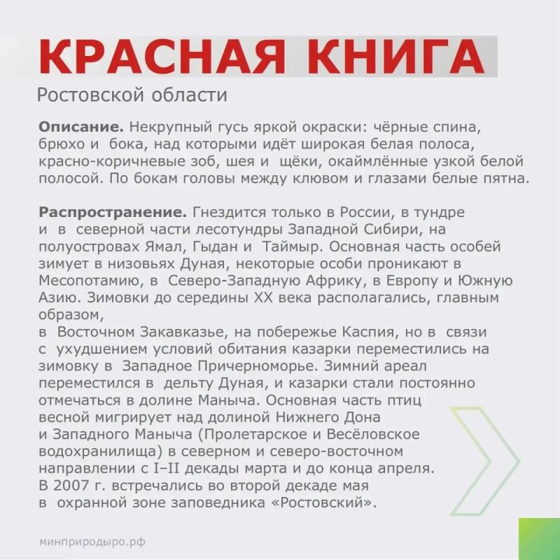 Рубрика «Красная книга Ростовской области»! Рубрика «Красная книга Ростовской области»!