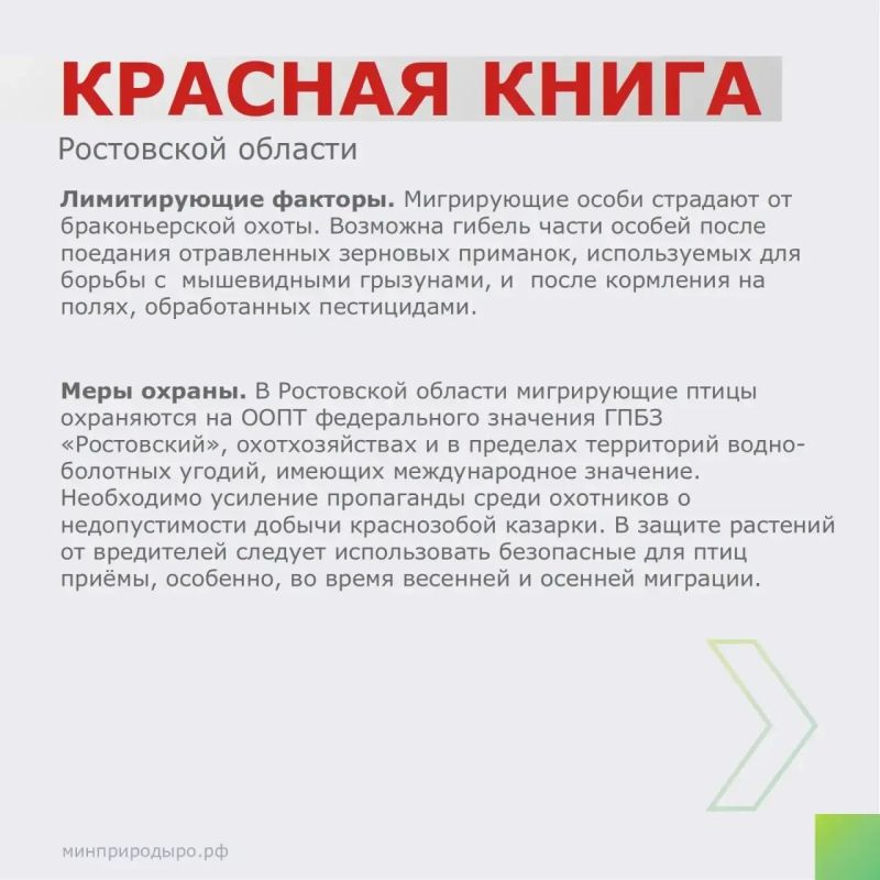 Рубрика «Красная книга Ростовской области»! Рубрика «Красная книга Ростовской области»!