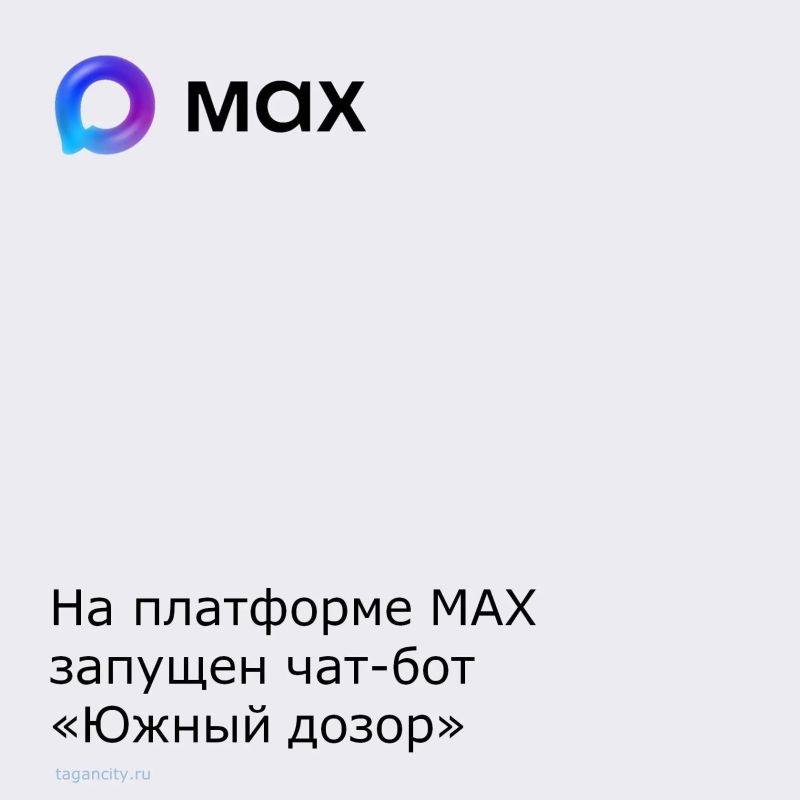 Минцифры региона и ДГТУ запустили цифровой чат-бот «Южный дозор» на платформе MAX