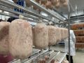 Объем продаж и производства «Тавра» сократился на 20% в первом полугодии