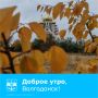 С добрым утром!. Пусть эта неделя станет чистым листом для ваших планов