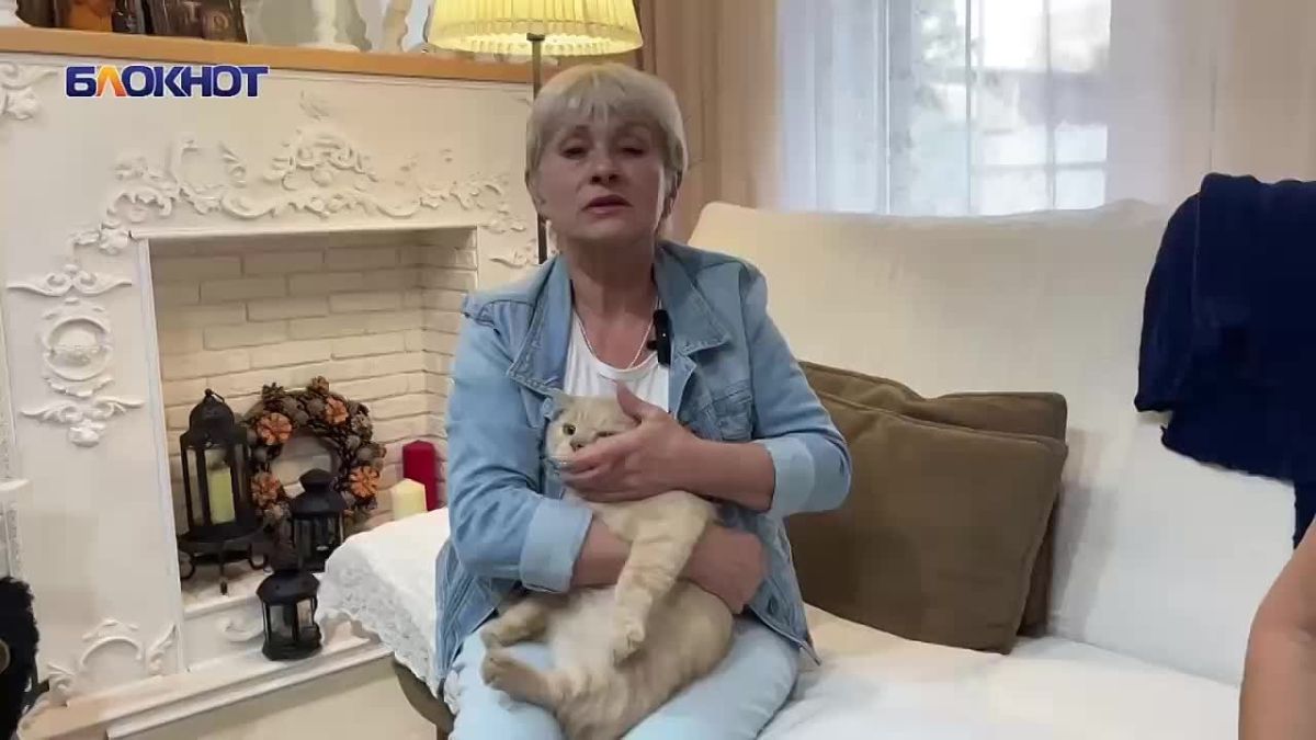 «Одному коту прокусил яйцо, второму - выгрыз глаз!»: соседский кот-убийца с гипоксией головного мозга уничтожает домашних питомцев