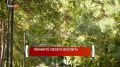 Ростовчане вспомнили своих первых воспитателей