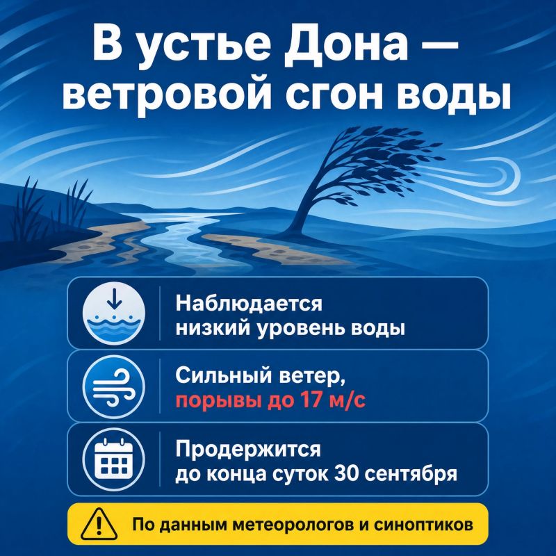 В устье Дона наблюдается ветровой сгон воды