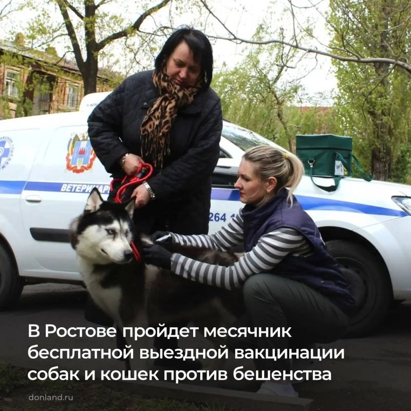 В Ростове пройдет месячник бесплатной выездной вакцинации собак и кошек против бешенства