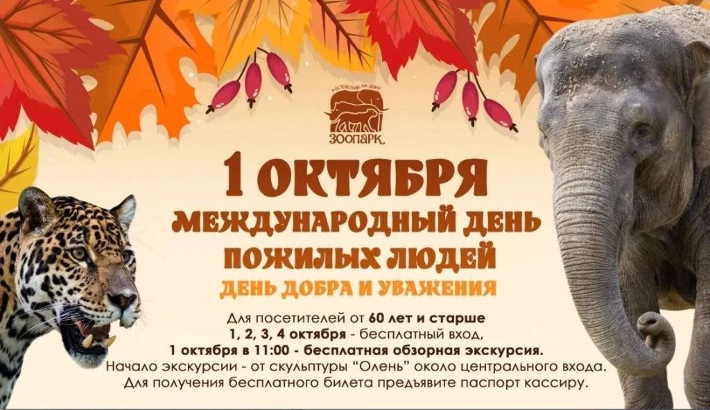 До конца недели - с 1 по 4 октября - ростовчане 60 лет и старше смогут посетить зоопарк Ростова бесплатно