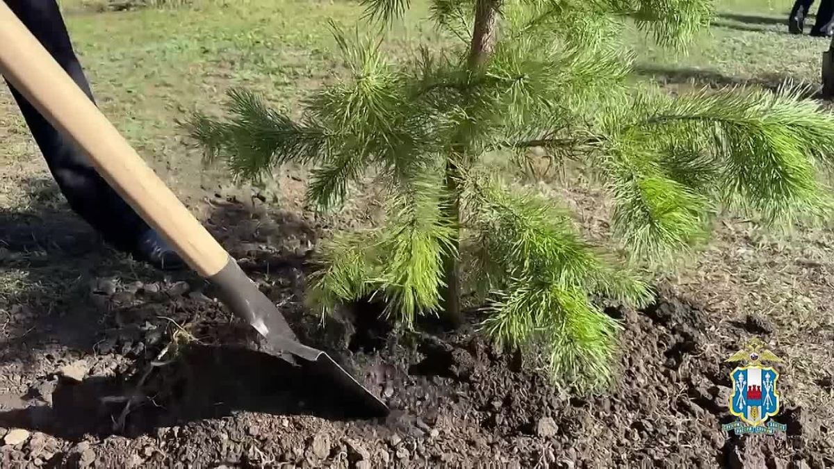 В Ростове-на-Дону состоялась торжественная церемония открытия аллеи донского уголовного розыска