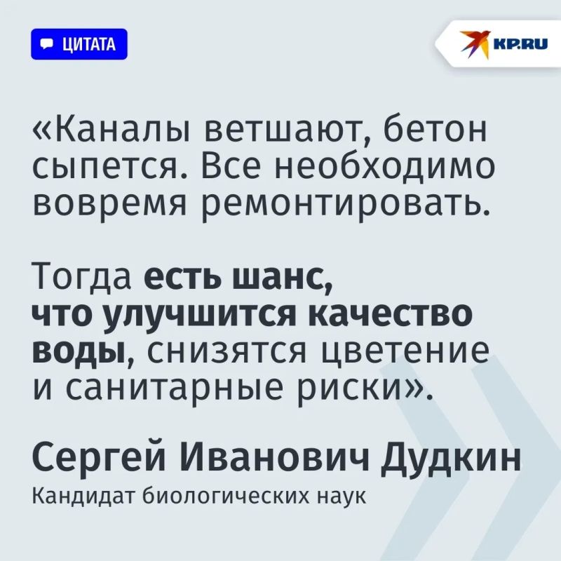 Более 105 миллиардов на Дон: Куда пойдут деньги и станет ли вода чище в Ростовской области, рассказал биолог Более 105 миллиардов на Дон: Куда пойдут деньги и станет ли вода чище в Ростовской области, рассказал биолог