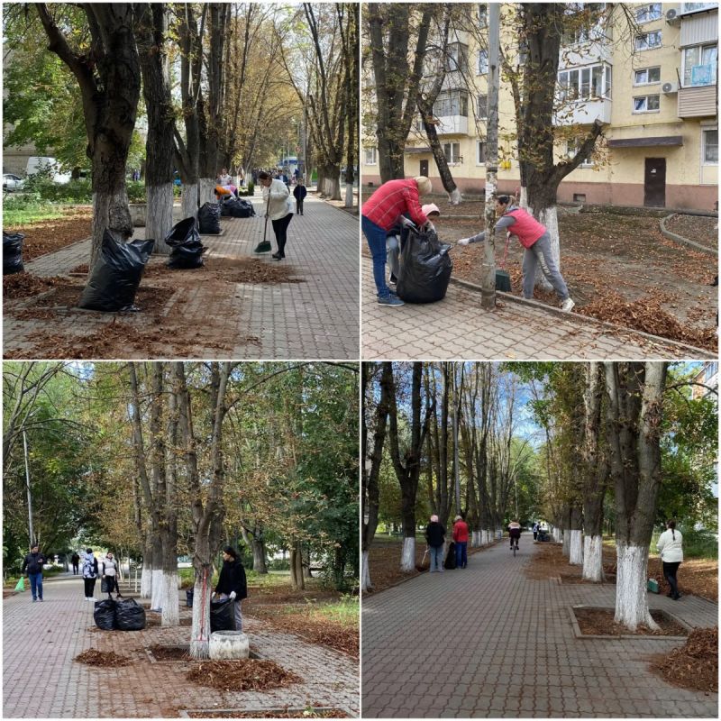 В Батайске прошёл осенний субботник В Батайске прошёл осенний субботник
