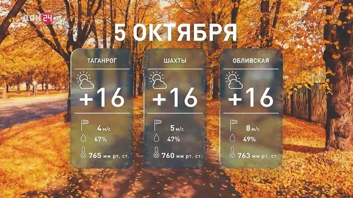 Без осадков и до +19 °С: какая погода ждёт дончан сегодня?