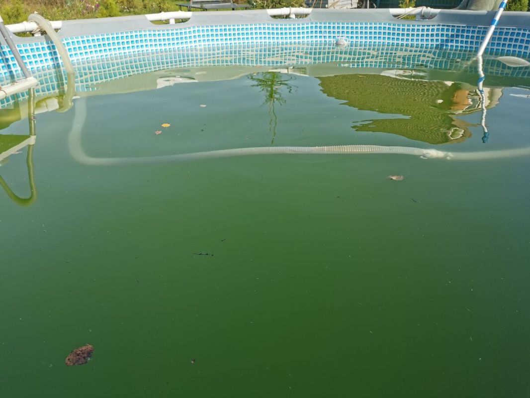 Вода в бассейне за два часа: как мы откачали 10 тонн без насосов
